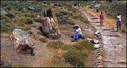 Petrified Forest Sigri Lesvos Island